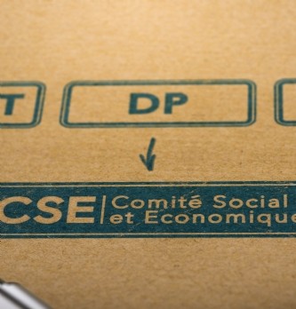 Les procès-verbaux du comité social et économique