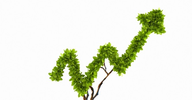 Coter ses émissions vertes : une (vraie) bonne idée?