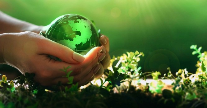 Croissance verte : formation et changements en vue