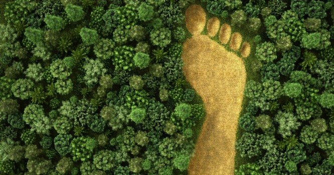 5 questions autour de la taxonomie verte et de la finance durable