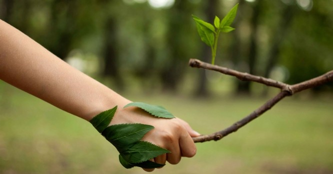 Quelle place pour la finance dans la transition écologique ?