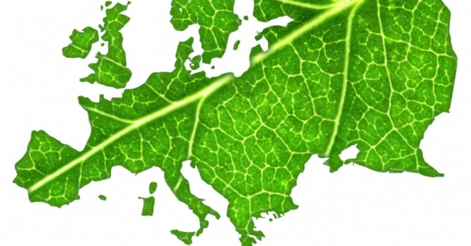 La taxonomie, une étape décisive vers la neutralité carbone