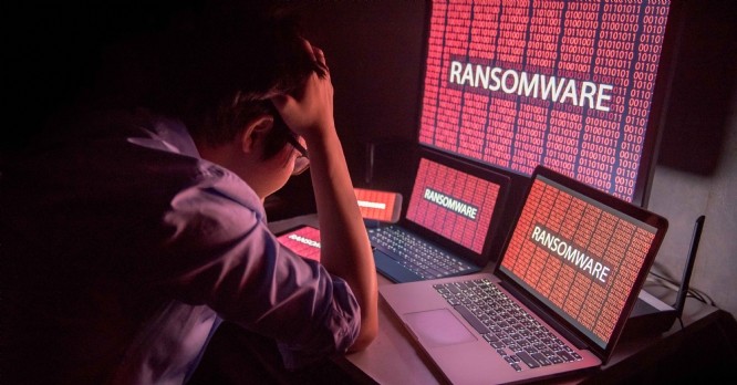 Cyber assurance : des couvertures plus restreintes