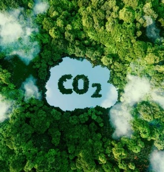 Cyber & Climat : Réformes du marché du carbone : nouvelles stratégies en vue