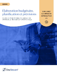 Couverture Elaboration budgétaire, planification et prévision 