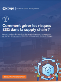 Couverture Comment gérer les risques ESG dans la Supply Chain ?