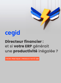 Couverture Décideur financier : et si votre ERP générait une productivité inégalée ?