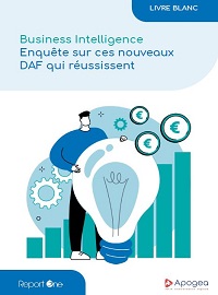 Couverture Enquête sur ces nouveaux DAF qui réussissent grâce à la Business Intelligence