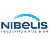 Hub '' - Nibelis